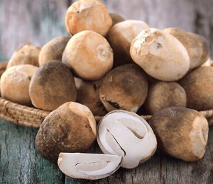 MUSHROM DE PAJA EN CONSERVAS 100% MUSHROM FRESCA PROVEEDOR DE VIETNAM CON PRECIO BARATO - Product Image 4