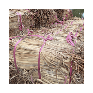 Offre spéciale Décoration intérieure écologique avec jacinthe d'eau séchée de la plus haute qualité provenant directement du Vietnam Meilleur prix - Product Image 1