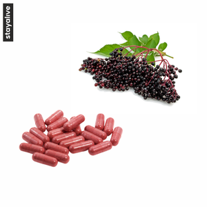 แคปซูลสารสกัดจาก Sambucus Elderberry บริการ OEM/ODM | ผลิตภัณฑ์เสริมอาหาร (60,90,120แคปซูล) - Product Image 5