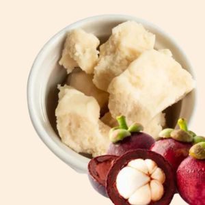 Mantequilla Kokum | Grado cosmético | Para el cuidado de la piel y el cabello Formulaciones, cremas, bálsamos y jabones | Paquete de 1kg - Product Image 1