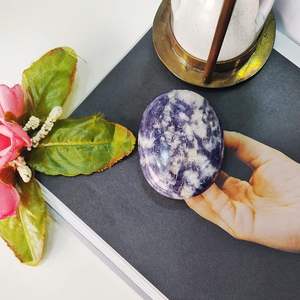 Pierres de palmier en iolite sculptées à la main-Cristaux de croissance spirituelle et de guérison énergétique - Product Image 4