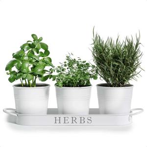 Wholesale Set of Three Handcrafted White Galvanized Metal Planters with <b>Tray</b> Powder Coated for Garden Decoration Customizable - Product Image 2