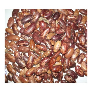 Haricots rouges marbrés pour l'exportation - Product Image 1