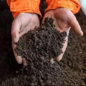 Fertilizante de estiércol de jardinería de terraza de alta calidad, estiércol Vermi Compost Bio Fertilizante - Product Image 2