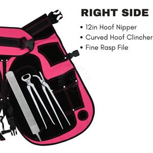 Kit d'outils de maréchal-ferrant en argent, pinces de maréchal-ferrant, tire-clous, tire-chaussures, couteau à ébarber et râpe à sabots avec tablier de travail rose pour maréchal-ferrant - Product Image 5