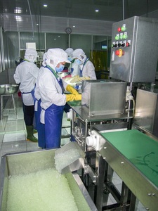 Factory Direct Supply Premium Aloe Vera <b>Jelly</b> Cubes for Drinks and Desserts - Product Image 5