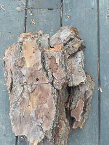 Exportación de corteza de pino de alta calidad de exportación a granel de Vietnam - Product Image 5