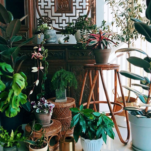 Tabouret naturel en osier et rotin à hauteur réglable pour l'extérieur et l'intérieur du Vietnam pour chambre à coucher d'hôtel. - Product Image 6