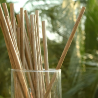 Pailles jetables 100 % biodégradables en paille de palmier de couleur naturelle à bas prix pour tous types de boissons, événements, hôtels, bars, cafés