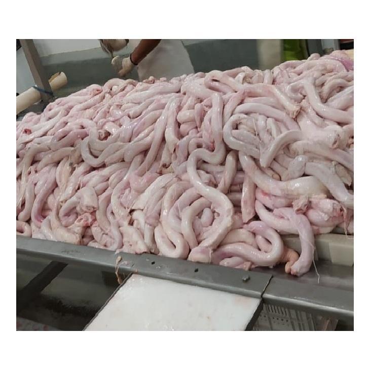 High Quality Bull Pizzles Durable, Protein-Rich Dog Treats