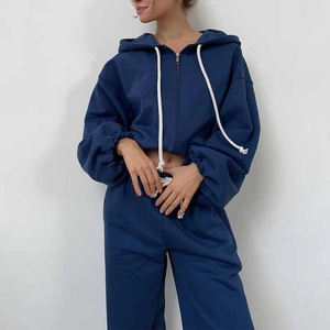 Conjunto de Dos Piezas de Sudadera Corta con Capucha y Cremallera Extra Grande con Bordado Desgastado Personalizado, Estilo Hip Hop, Talla Grande para Mujer - Product Image 2