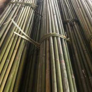 ไม้ไผ่สำหรับทำไร่แบบยั่งยืนใช้วัตถุดิบจากไม้ไผ่ที่ไม่ผ่านการบำบัด - Product Image 6