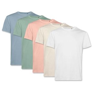 T-shirt uni vintage pour homme PinkTex en coton biologique blanc/sable/rose pastel/vert sauge/bleu pastel XXL - Product Image 1