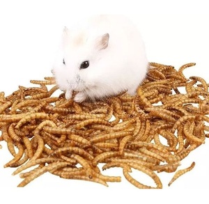 Gusanos de la Harina Secos de Origen Alemán, Calidad Premium, Sabor Natural, Certificación ISO22000, Bolsa Resellable de 10 kg - Product Image 4