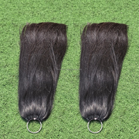 Extensions de cheveux en crochet 100 % naturels, qualité supérieure, pointes saines et pleines, cheveux indonésiens lisses naturels
