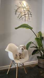 ศิลปะผนังโลหะสีทองและสีดำในการออกแบบที่เป็นเอกลักษณ์เหมาะสำหรับตกแต่งบ้านสำนักงานชิ้นส่วนที่เน้นสไตล์ทันสมัยสำหรับทุกพื้นที่ - Product Image 2