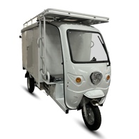 HLD China Triciclo Eléctrico de Reparto de Carga Grande de 1000W y 3 Ruedas con Caja de Carga y Escalera Lateral
