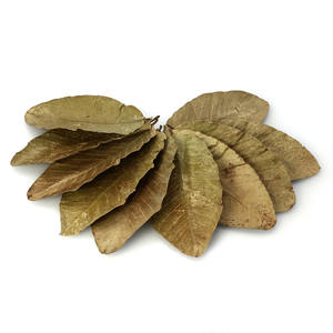 Hoja de guayaba seca de calidad superior, hojas de guayaba naturales baratas para exportación a granel - Product Image 2