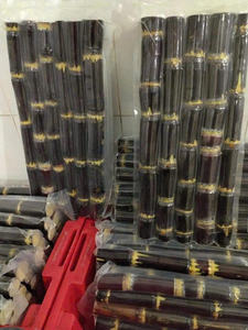 Caña de azúcar congelada de Vietnam, seleccionada con cuidado, procesada y congelada para apoyar operaciones de extracción de jugo a alto volumen. - Product Image 6