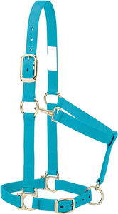 Licol de cheval rembourré en Gel pour cheval, licou anglais fait sur le plus beau - Product Image 3