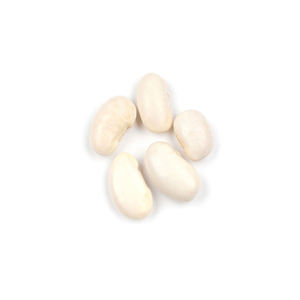 ค้นหาผู้ส่งออกถั่วขาวพรีเมี่ยมที่เชื่อถือได้ - Product Image 4