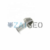 20459466, 80121 20459469, 80100 20459472, 20459550, 49863574, 80177 Wasserstrahl-Ersatzteile Wasserstrahl-Rubin-Saphir-Düse für KMT