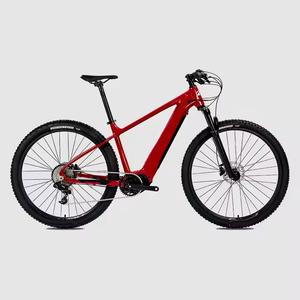 Bicicleta Eléctrica de Montaña de Grado Industrial 2025, DIY OEM, Hardtail, 48V 500W, Motor Central, Emtb, 29 Pulgadas - Product Image 1