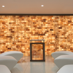 Carreaux/briques de sel de l'Himalaya 5x10x20cm pour salle de bain et spa Beaux objets artisanaux naturels pour améliorer le confort et un style de vie sain - Product Image 5