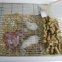Boîte en plastique transparente de Cage de rat de souris de laboratoire de groupe de rongeurs de style simple de PC emballée pour des mangeoires d'animaux de compagnie