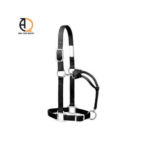 Licol en cuir pour cheval avec bande nasale rembourrée en néoprène souple et quincaillerie en laiton robuste - Product Image 5