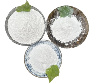 CaCO3-Polvo de policarbonato de alta pureza, superblanco, para pintura, plástico, usos industriales - Product Image 2