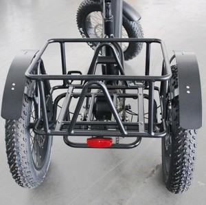 Bicicleta Eléctrica de Carga de 3 Ruedas con Neumáticos Anchos y 7 Velocidades, Modelo 2026, con Neumáticos para Nieve, Bicicleta Eléctrica Multiusos - Product Image 1