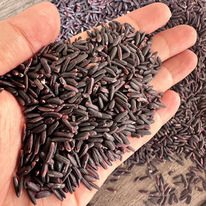 [Keith Vilaconic] Arroz negro glutinoso superior | Superalimento de alta calidad para exportación desde Vietnam - Product Image 2