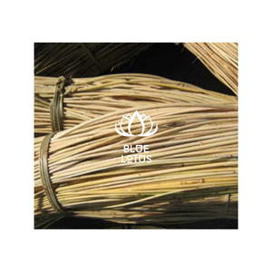 Bâton de balai en noix de coco Matériau renouvelable pour la fabrication de balai - Product Image 1