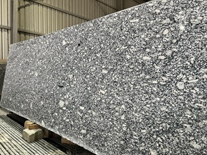 Revestimiento de pared exterior Textura de piedra Pintura de granito en aerosol Mejora del atractivo estético Losa de granito gris humo - Product Image 3