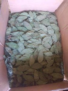 Feuilles de jute séchées broyées du Vietnam, 4oz ANGLE, fabricant - Product Image 2