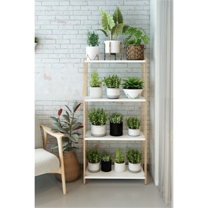 Asya White 4-<b>Tier</b> Wooden Multi-Purpose Shelf, <b>Plant</b> <b>Stand</b>, Bathroom Shelf and Bookcase - Product Image 2
