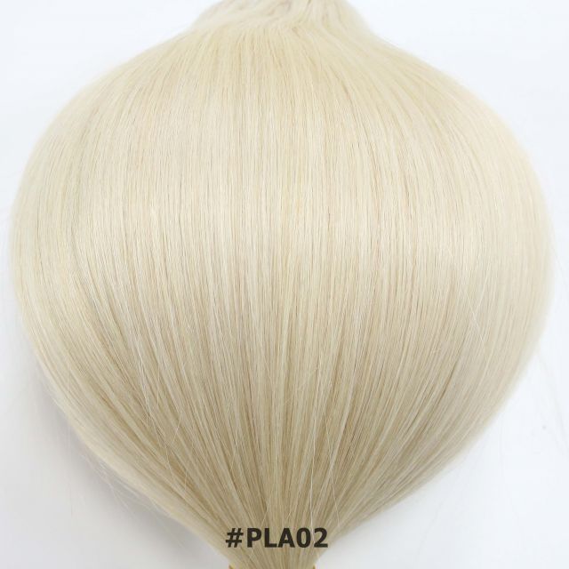 PLA02