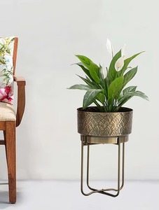 Nouvelle conception de jardinière de fleurs décoratives galvanisées et pots Articles de jardin à large bouche - Product Image 4