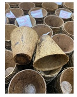 Prix de marché bas 100% pots en fibre de coco naturelle et en latex pour la culture de fleurs agricoles du Vietnam