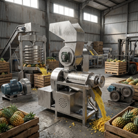 Presse-agrumes industriel en acier inoxydable, extracteur de jus commercial à vis pour fruits, ananas, orange, citron
