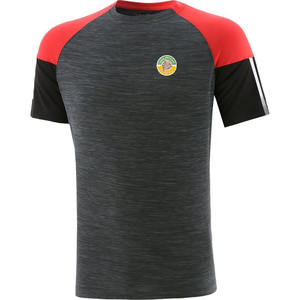 Camiseta GAA de poliéster 100% de alta calidad para hombres, ropa de fútbol de manga corta OEM personalizable con logotipo frontal de patrón sólido a la venta - Product Image 1