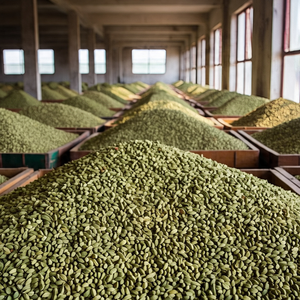 Ventes directes d'usine de haute qualité Épices et herbes individuelles Épices de bonne qualité Cardamonn verte - Product Image 1