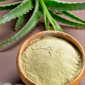 100% poudre d'aloe vera lyophilisée pure poudre de feuille d'aloe séchée naturelle pour la croissance des cheveux masque facial et soins de la peau d'Inde - Product Image 3