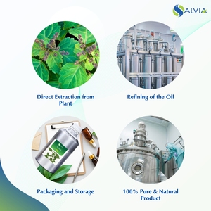 Huile de patchouli 100% pure et naturelle, vente en gros, prix le plus bas, emballage personnalisé - Product Image 4