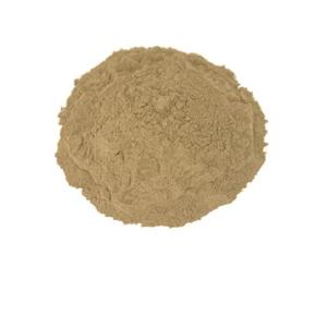 Polvo de Hoja de Gordolobo Orgánico |   Extracto Herbal Molido Fino |   Fabricante y Exportador a Granel de la India - Product Image 3