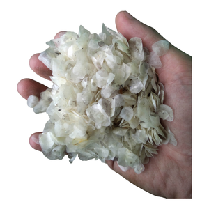 Ietnamam ilapia-cabrestante - Product Image 4