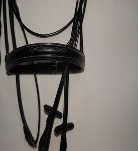 Diseño de Última Tendencia, Brida de Salto de Cuero de Alta Gama, Fabricante Profesional de Equipo Ecuestre, Equine Riding House Kanpur India - Product Image 5