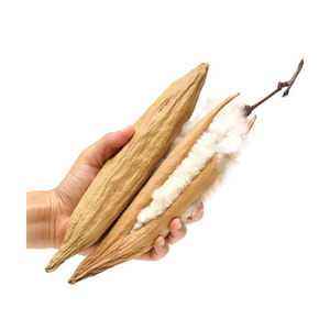 VENTE DE KAPOK POD BON MARCHÉ D'UN FOURNISSEUR VIETNAMIEN QUI SONT DE BONNE QUALITÉ/Mme Thi - Product Image 6