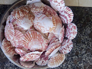 Conchas de Lapa múltiple Caracol de mar natural Estilo esmaltado - Product Image 5